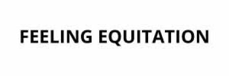 Feeling logo - Riding equipment
