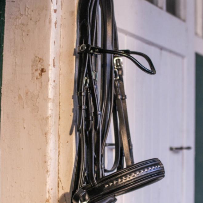 Black leather flange hanging in a stable, CAP Horse Riding equipment