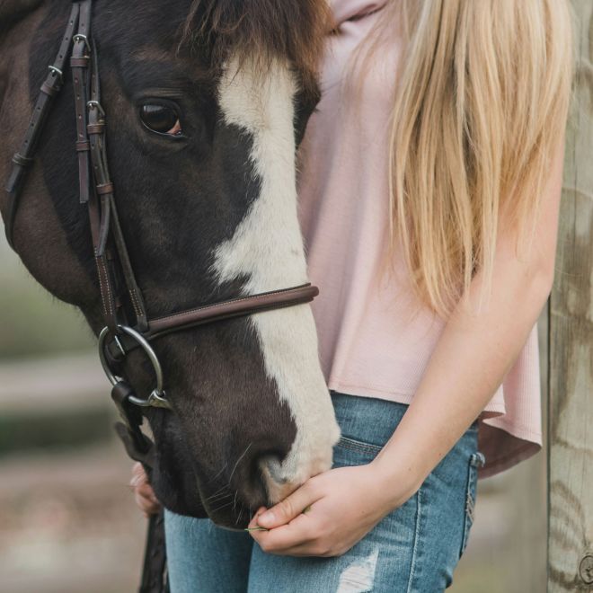 Black and white horse with a rider caressing her muzzle, equestrian complicity
